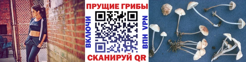кракен ссылки Перевоз Псилоцибиновые грибы MAGIC MUSHROOMS где купить наркоту