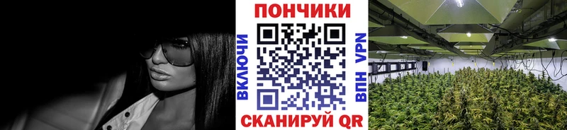 купить наркоту  shop формула  Каннабис Bruce Banner  Перевоз 